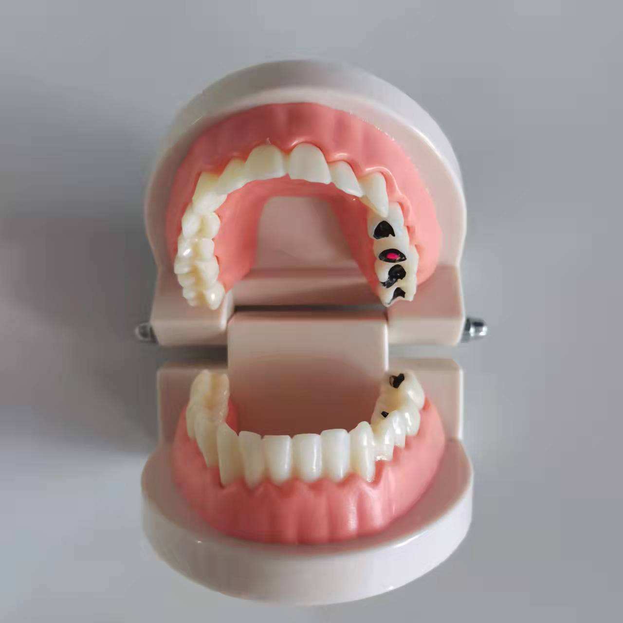 开启儿童口腔健康第一课 从刷牙牙齿模型模具到全方位口腔护理